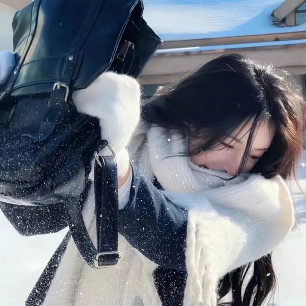 仙女座报告